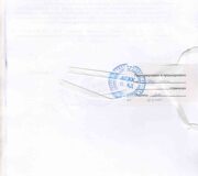 Заключение ПСАД_page-0003